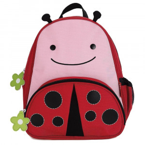 Zoo Pack Ladybug - Image 2