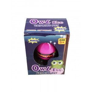 Owl Hatching Egg
