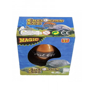 Turtle Hatching Egg