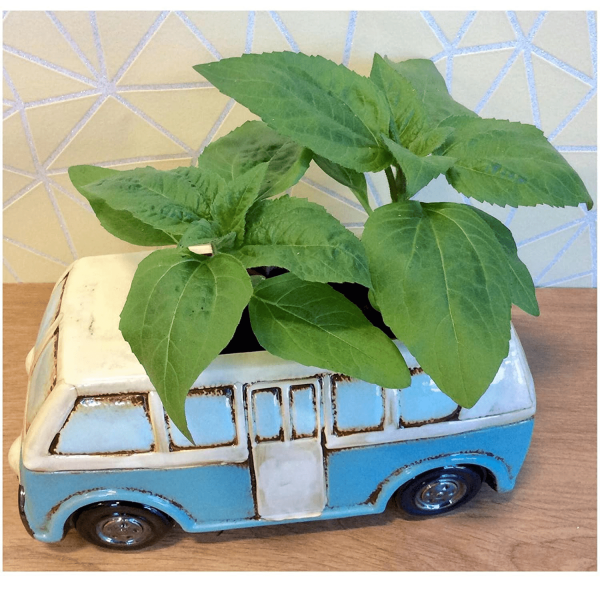 Village Pottery Camper 2 712B5dEWaRWL. SL1500 - HTUK Gifts