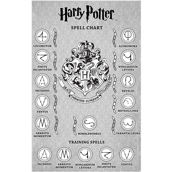Harry Potter Wizard Training Wand 1 91h13Ko r8L. AC SL1500 - HTUK Gifts