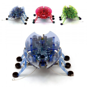 HEXBUG Beetle - Assorted