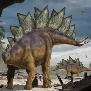 National Geographic Kids Super 3D Stegosaurus Dinosaur Puzzle (150-Piece) 3 National Geographic Kids Super 3D Stegosaurus Dinosaur Puzzle (150-Piece) - Image 2