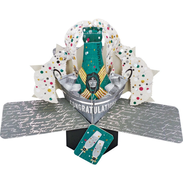 POP146 Champagne Bottle massive - HTUK Gifts