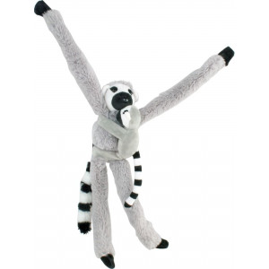 Lemur with Baby