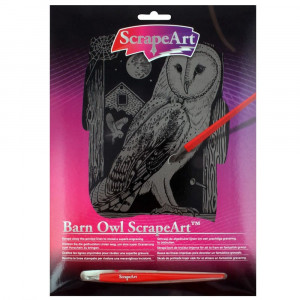 Barn Owl ScrapeArt