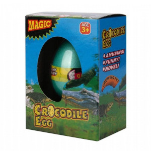 Crocodile Hatching Egg