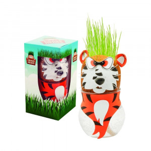 Tiger Grass Head