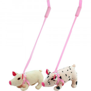 Walk-A-Pig