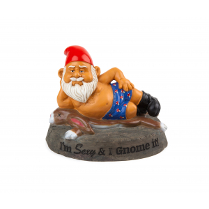 Sexy And I know Garden Gnome