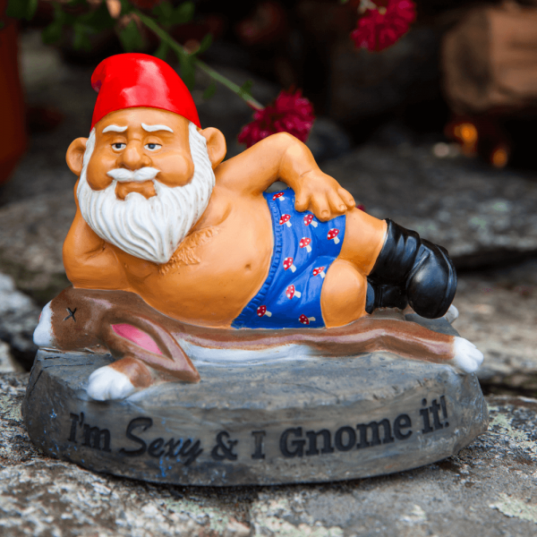 sexy i gnome it garden gnome p119 1865 image - HTUK Gifts